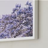 "Jacaranda in bloom" - Art Print in lavender by Owl and Toad - Frame Close-up