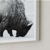 "Living Remnants of the Not-So-Distant Past" - Art Print in Black and White by Shannon Dunlap - Frame Close-up