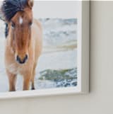 "All Is Quiet" - Art Print in Neutral Skies by Jenni Kupelian - Frame Close-up