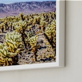 "Desert Daydream" - Art Print in Cactus Green by Kate Baird - Frame Close-up
