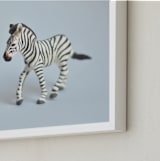 "Oh, Zebra" - Art Print in Soft Grey by Kinga Subject - Frame Close-up