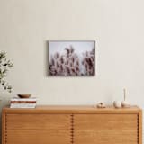"Plumose" - Art Print in Natural by Robin Ott - In a Room