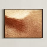 "Fade" - Art Print in Fawn by Catherine Culvenor - Framed
