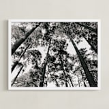 "In the Woods" - Art Print in black and white by lulu and isabelle - Framed