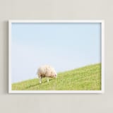 "Sheep at Lunch" - Art Print in Apple Green by Alexandra Feo - Framed