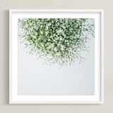 "Gypsophila" - Art Print in emerald green by Marabou Design - Framed