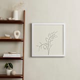 "Wild Radish" - Art Print in charcoal on ivory by Jorey Hurley - In a Room