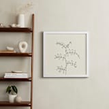 "Wild Pea" - Art Print in charcoal on ivory background by Jorey Hurley - In a Room