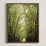 "Canopy of Trees" - Art Print in Green by Eric Clegg - Framed