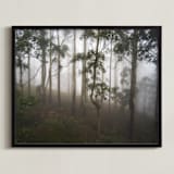 "Trees in the Mist" - Art Print in Fog White by Benno and Noosa - Framed