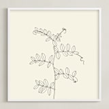 "Wild Pea" - Art Print in charcoal on ivory background by Jorey Hurley - Framed