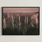 "Pampas grass" - Art Print in Sunset by Lucia Coppola - Framed