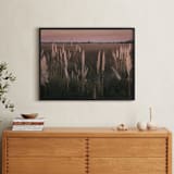 "Pampas grass" - Art Print in Sunset by Lucia Coppola - In a Room