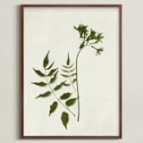 "Foraged II" - Art Print in Verdant by Kamala Nahas - Framed