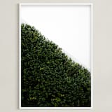 "verdant garden I" - Art Print in leaf by Sara Hicks Malone - Framed