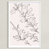 "magnolia study" - Art Print in peach by Qing Ji - Framed