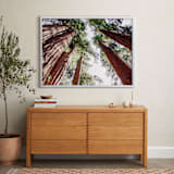 "Soaring Sequoias" - Art Print in Sequoia Green by Matthew Sampson - In a Room