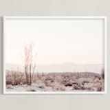 "Ocotillo II" - Art Print in morning blush by Kamala Nahas - Framed