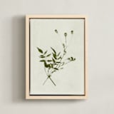 "Foraged 4" - Art Print in Verdant by Kamala Nahas - Framed Canvas