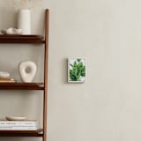 "Tropical plants II" - Art Print in Evergreen by Alexandra Dzh - In a Room