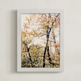 "Tenacity" - Art Print in Amber by Courtney Crane - Framed