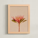 "Protea Collection 3" - Art Print in Clay by Paola Benenati - Framed