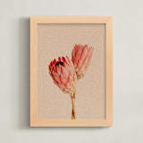"Protea Collection 2" - Art Print in Clay by Paola Benenati - Framed