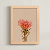 "Protea Collection 1" - Art Print in Clay by Paola Benenati - Framed