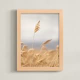 "marsh grass" - Art Print in Golden by Crystal Lynn Collins - Framed