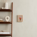 "Protea Collection 1" - Art Print in Clay by Paola Benenati - In a Room