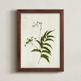 "Foraged III" - Art Print in Verdant by Kamala Nahas - Framed