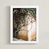 "Hold On" - Art Print in ivy by Janet Cruz - Framed