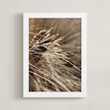 "Summertime 2" - Art Print in Lucca by Bethania Lima - Framed