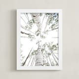 "Aspens at Altitude" - Art Print in Wonderfully White by Kaleb Nimz - Framed