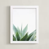 "Balboa Park" - Art Print in Sage by Ester M Nersisyan - Framed