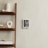 "Framed Photo: Classic Sash" - Framed Photo in Pine by Lauren Chism - In a Room