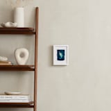 "Little Squirt" - Art Print in Teal by Susan Asbill - In a Room