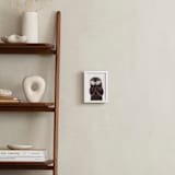 "Baby Animal Sea Otter" - Art Print in Coffee by Cass Loh - In a Room