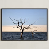 "Life cycle 1" - Art Print in Blue by Eliane Lamb - Framed