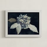 "Hortensia" - Art Print in Midnight by Courtney Crane - Framed