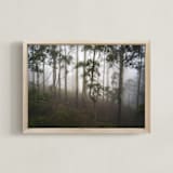 "Trees in the Mist" - Art Print in Fog White by Benno and Noosa - Framed