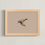 "Mallards in Flight 1" - Art Print in Neutral by Anee Shah - Framed