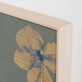 "Reframed Nature 2" - Art Print in Eucalyptus by Paola Benenati - Frame Close-up