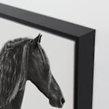"Dark Horse" - Art Print in Black Onyx by Irene Suchocki - Frame Close-up