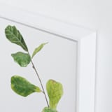 "Clipping" - Art Print in summer green by Monica Loos - Frame Close-up