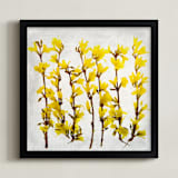 "Forsythia" - Art Print in yellow by Qing Ji - Framed