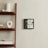 "Celebratory Decay" - Art Print in Green Decay by Bethania Lima - In a Room