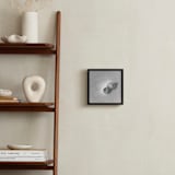 "Two Peaches" - Art Print in Silver by Meghan Lacey - In a Room