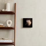 "A White Peony" - Art Print in sublte color by Qing Ji - In a Room