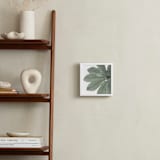 "Leaf In Green" - Art Print in Mint Green by Jonathan Brooks - In a Room